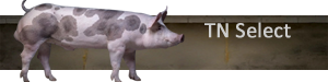 TN Select