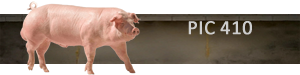 PIC 410